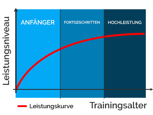 verlauf der leistungsentwicklung