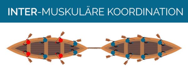 Die Effekte von Krafttraining - Muskelaufbau und co. - DaheimTrainer