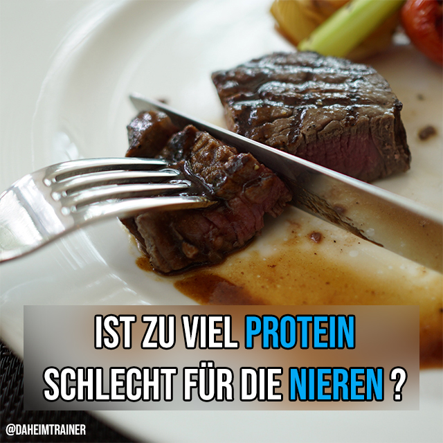 Ist zu viel Eiweiß schlecht für die Nieren? - DaheimTrainer