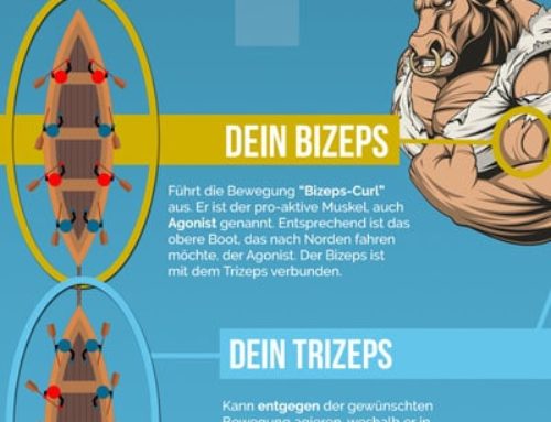 InfoGrafik – Die Effekte von Krafttraining