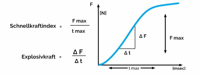 schnellkraft schaubild